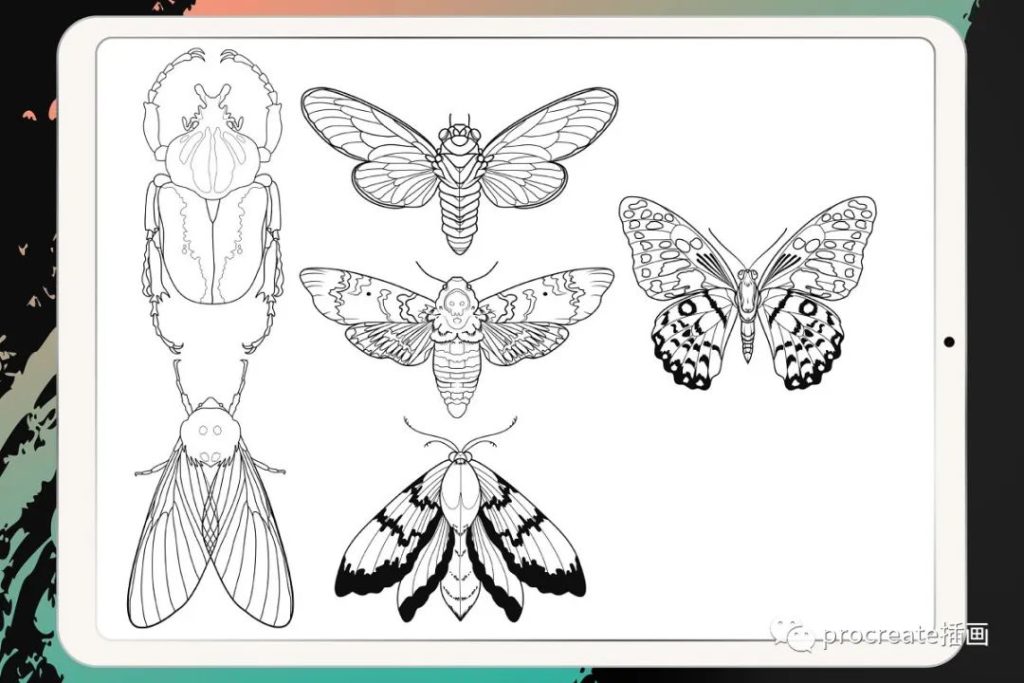 图片[7]-50款纹身刺青图章Procreate笔刷【0166】-procreatechahua