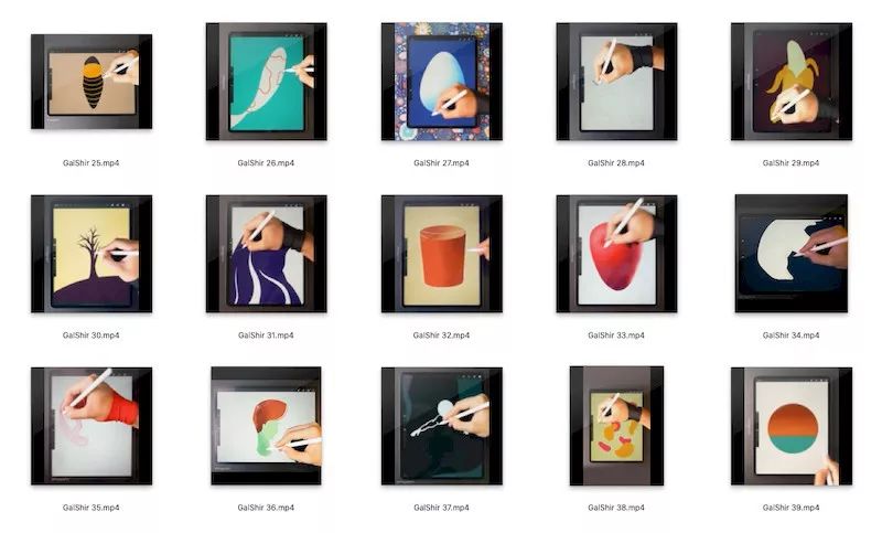 图片[6]-Galshir笔刷8款+色卡+绘画视频【0016】-procreatechahua