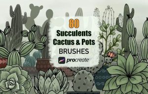多肉植物和花盆的Procreate图案笔刷【0694】-procreatechahua