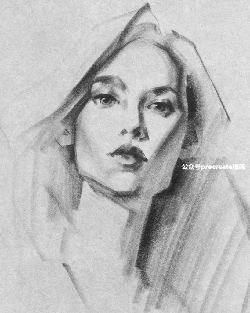 图片[1]-44种艺术大师级碳笔碳粉铅笔素描的Procreate笔刷【0718】-procreatechahua
