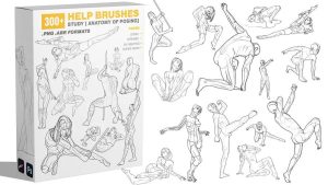 300+款人体姿势骨骼肌肉结构的线性绘画参考辅助笔刷【0730】-procreatechahua
