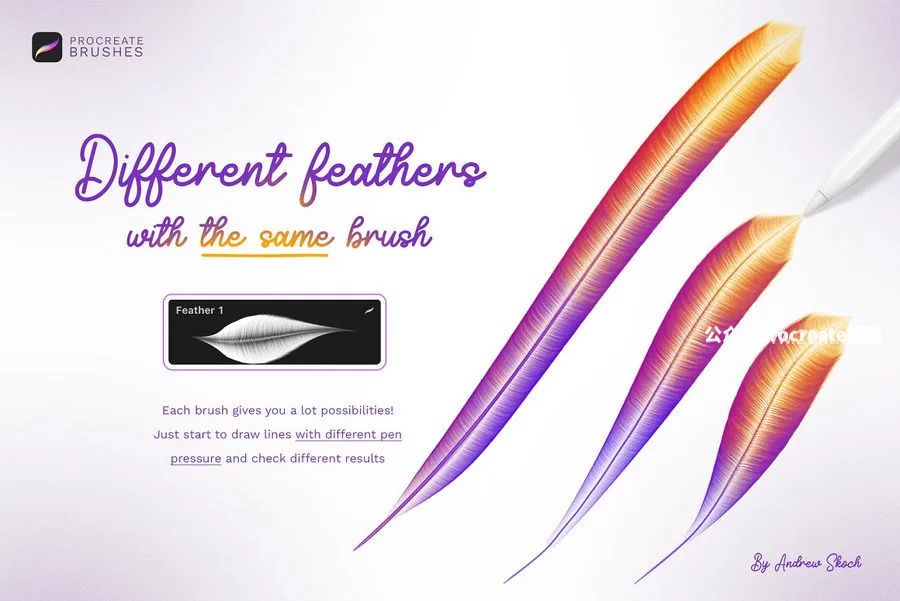图片[1]-细腻逼真的梦幻羽毛形状Procreate图案笔刷【0771】-procreatechahua