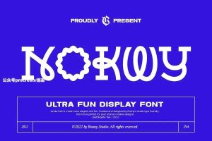 顺滑流畅极具设计感的英文衬线字体【0792】-procreatechahua