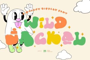 大头笔画俏皮的英文手写儿童卡通字体【0795】-procreatechahua