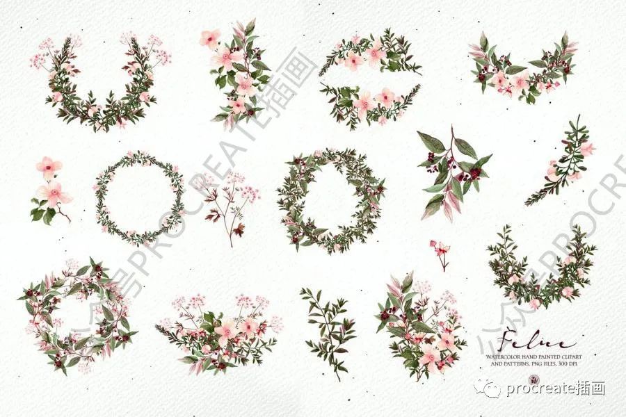 图片[8]-水彩艺术绘画风格的植物花卉主题PNG插画素材【0422】-procreatechahua