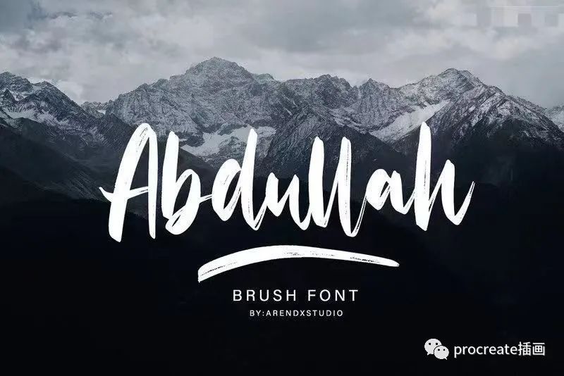 图片[8]-210款漂亮的英文字体素材打包大集合【0523】-procreatechahua