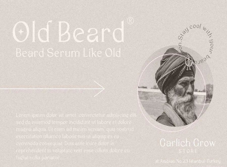 图片[8]-现代优雅的英文衬线字体【0632】-procreatechahua