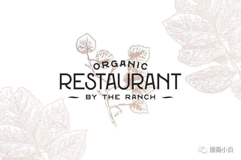 图片[8]-黑白素描效果的植物矢量插画素材【0085】-procreatechahua