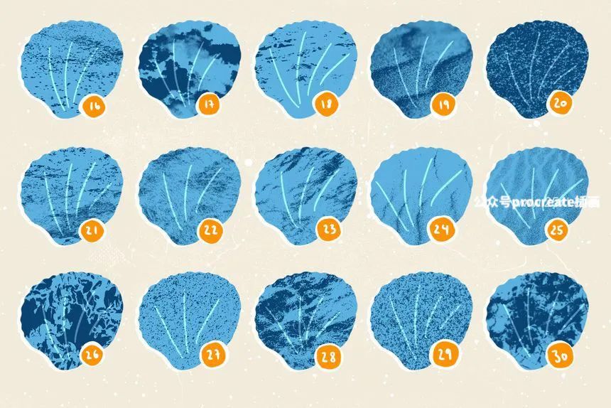 图片[9]-贝壳海藻珊瑚线稿图案笔刷和Procreate纹理笔刷【0688】-procreatechahua