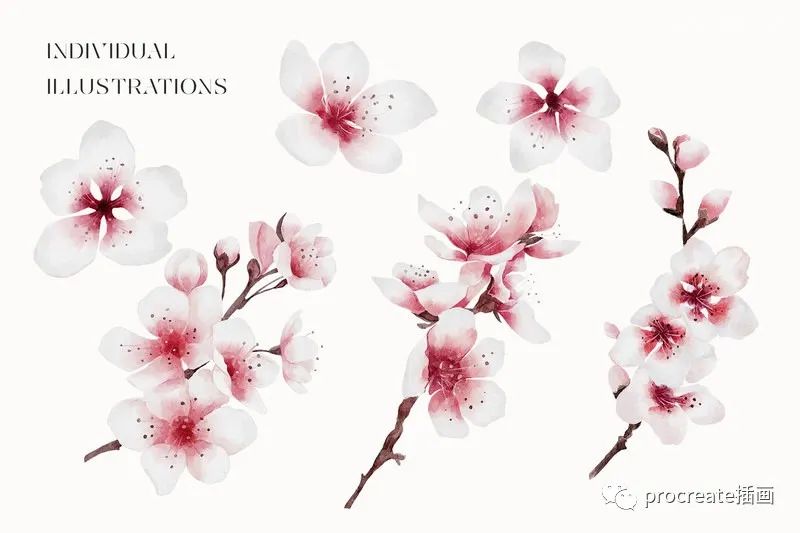 图片[9]-日本风格日式元素的手绘水彩插画png素材包【0528】-procreatechahua