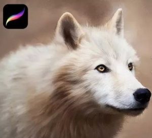 逼真动物毛发procreate笔刷【0072】-procreatechahua