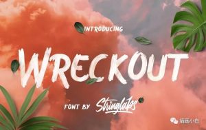 充满艺术感的英文手写装饰字体【0079】-procreatechahua