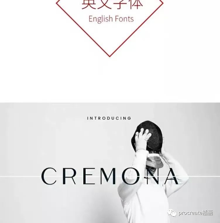 图片[8]-无版权的330款procreate可商用的中英日韩字体【0198】-procreatechahua