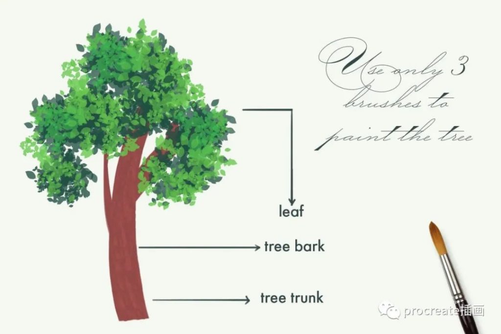 图片[10]-60款Procreate专用植物动物图形笔刷【0200】-procreatechahua