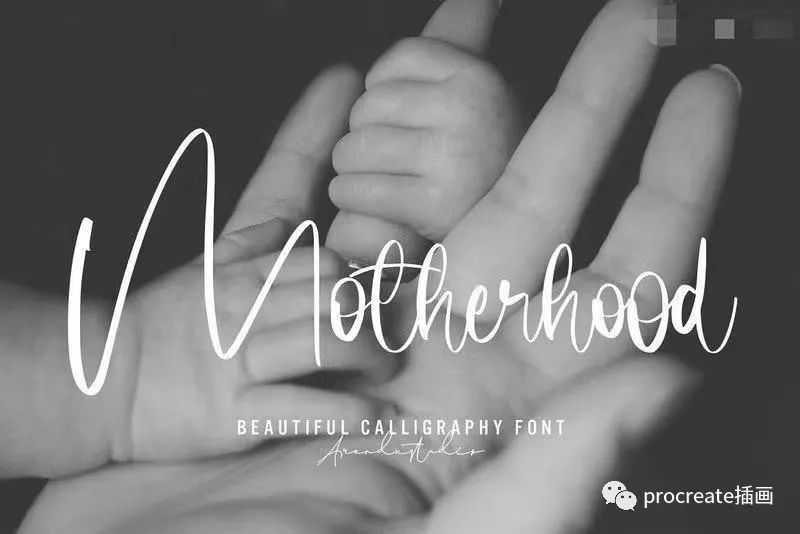 图片[10]-210款漂亮的英文字体素材打包大集合【0523】-procreatechahua
