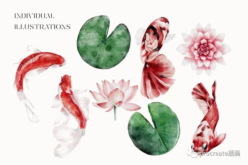 图片[10]-日本风格日式元素的手绘水彩插画png素材包【0528】-procreatechahua