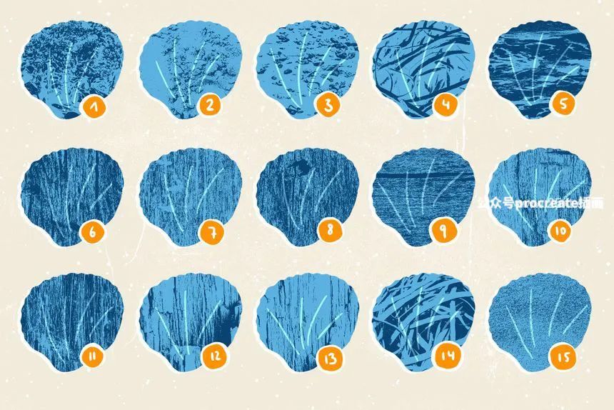 图片[10]-贝壳海藻珊瑚线稿图案笔刷和Procreate纹理笔刷【0688】-procreatechahua