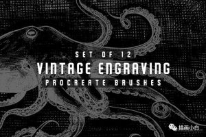 12款手工雕刻procreate笔刷【0090】-procreatechahua