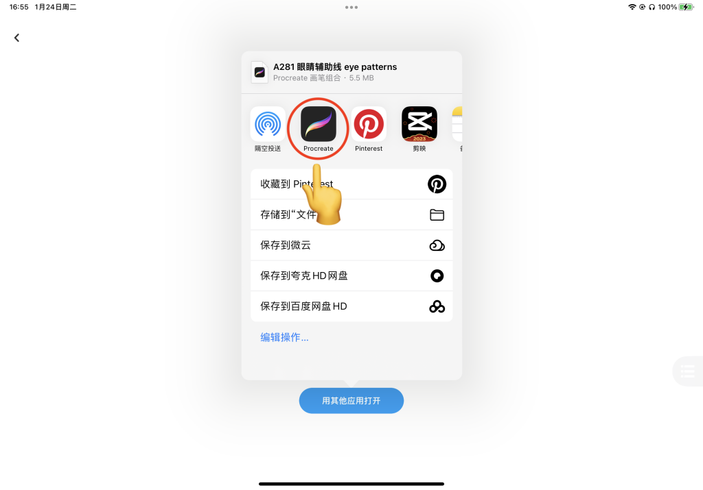 图片[6]-百度网盘导入procreate笔刷步骤（详细安装教程）-procreatechahua