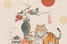 国风水墨丹青板绘插画教程【0751】-procreatechahua
