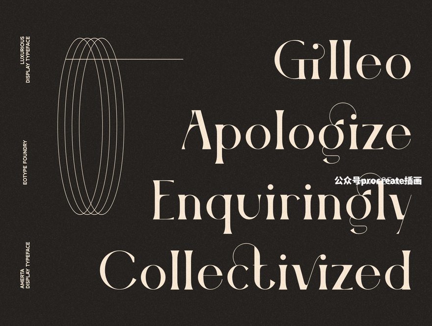 图片[2]-经典独特的花体英文衬线字体【0855】-procreatechahua