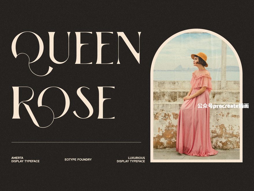 图片[3]-经典独特的花体英文衬线字体【0855】-procreatechahua