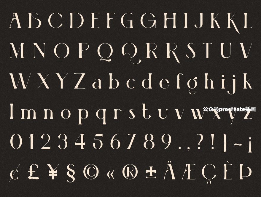 图片[4]-经典独特的花体英文衬线字体【0855】-procreatechahua