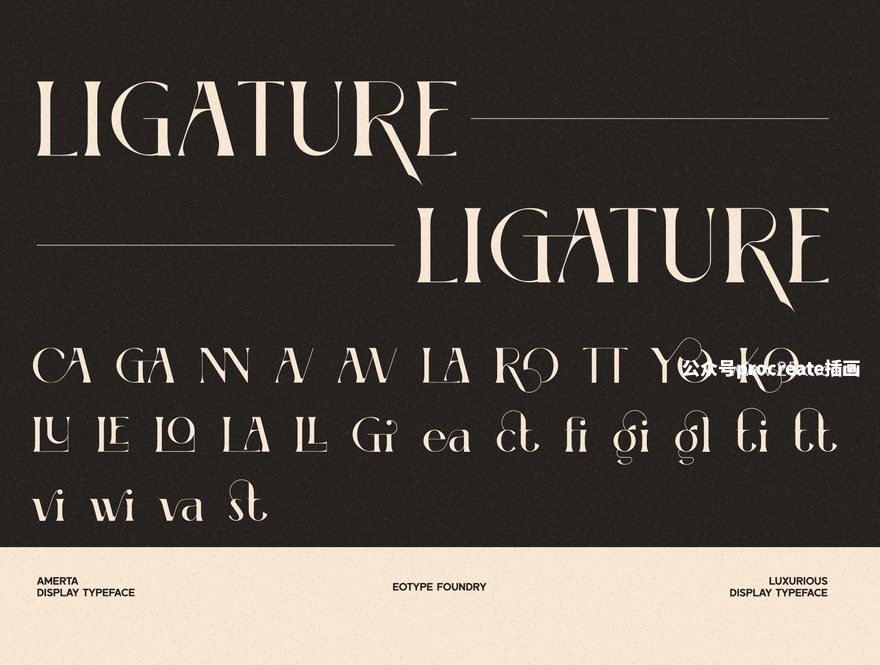 图片[5]-经典独特的花体英文衬线字体【0855】-procreatechahua