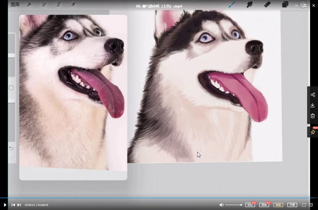 图片[2]-阿花宠物团练ipad插画课【0873】-procreatechahua