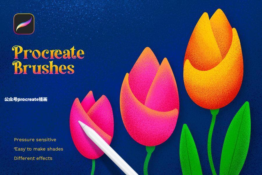 图片[1]-噪点质感插画设计的着色Procreate笔刷【0899】-procreatechahua