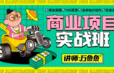 万鱼鱼商业项目实战班第2期【0920】-procreatechahua