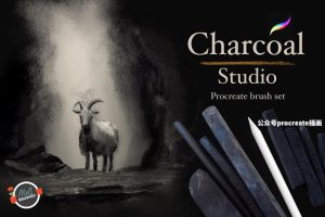 木炭铅笔素描绘画画笔Procreate笔刷【0918】-procreatechahua