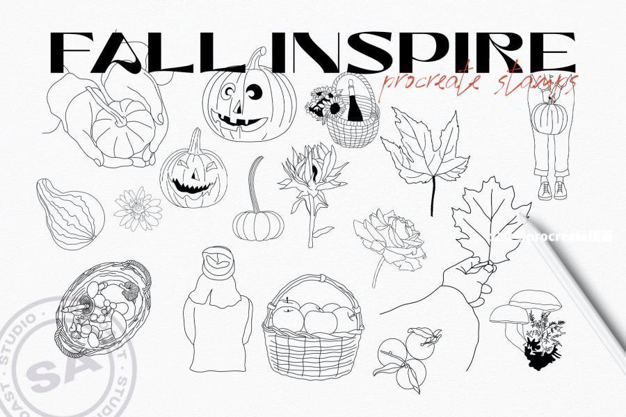图片[2]-30款秋季主题的Procreate线条图案笔刷【0944】-procreatechahua