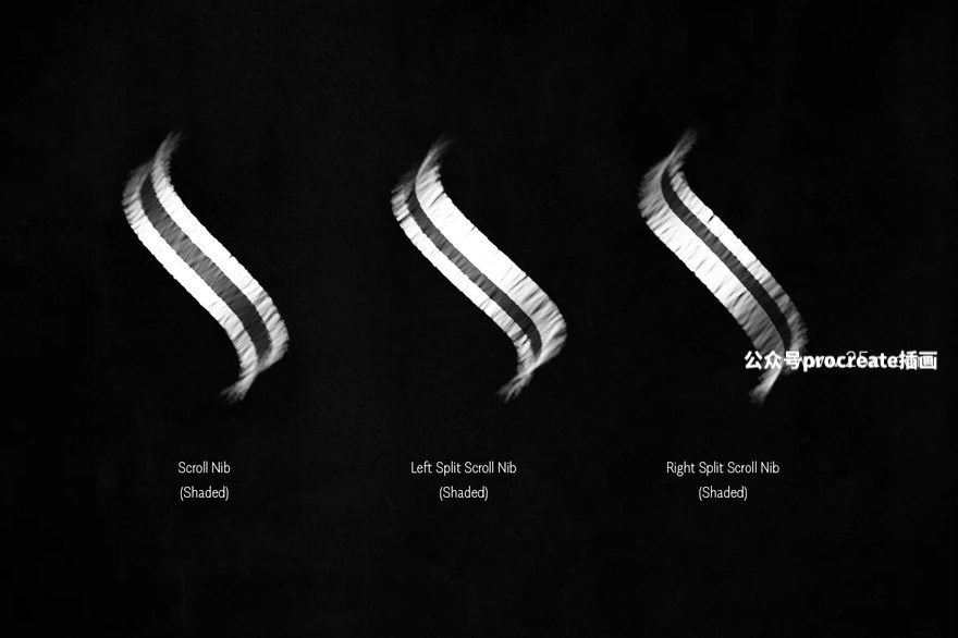 图片[5]-哥特风格文字图形创作的Procreate艺术字笔刷【0939】-procreatechahua