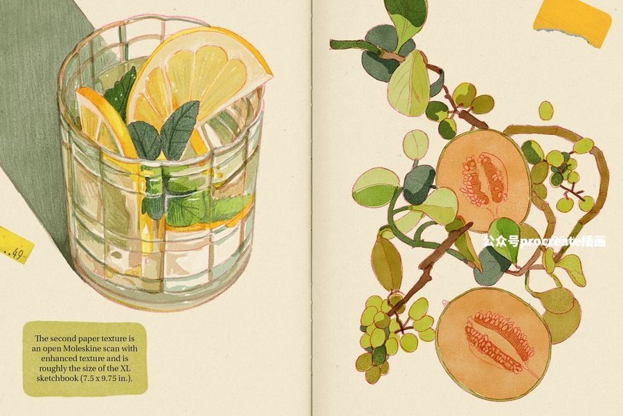 图片[7]-素描绘本插画的Procreate笔刷和纹理纸张【0935】-procreatechahua