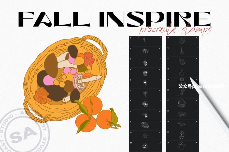 图片[1]-30款秋季主题的Procreate线条图案笔刷【0944】-procreatechahua