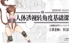 TC晨透视转角度基础课第7期 2023【0952】-procreatechahua