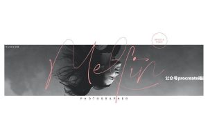 精美奢华迷人的英文手写签名字体【0961】-procreatechahua