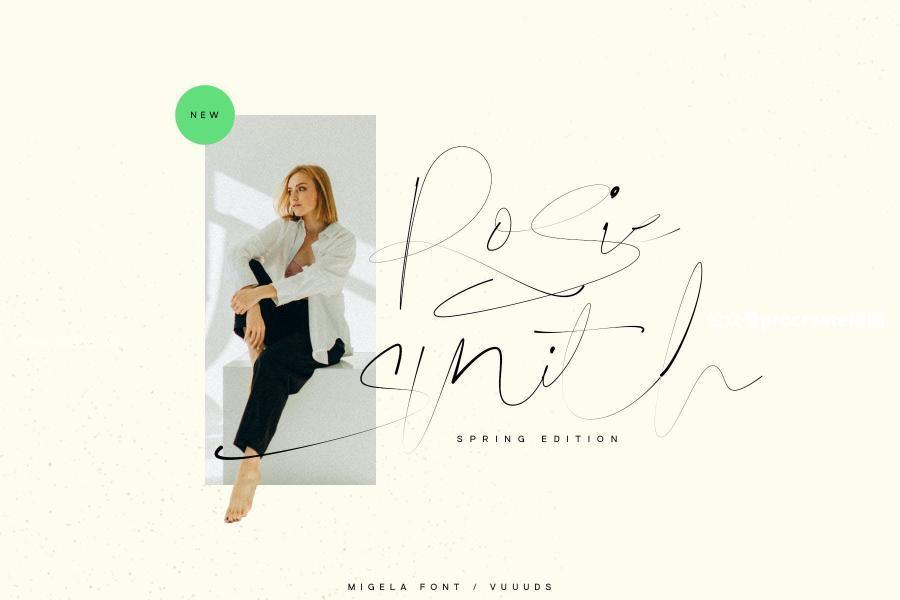 图片[8]-精美奢华迷人的英文手写签名字体【0961】-procreatechahua