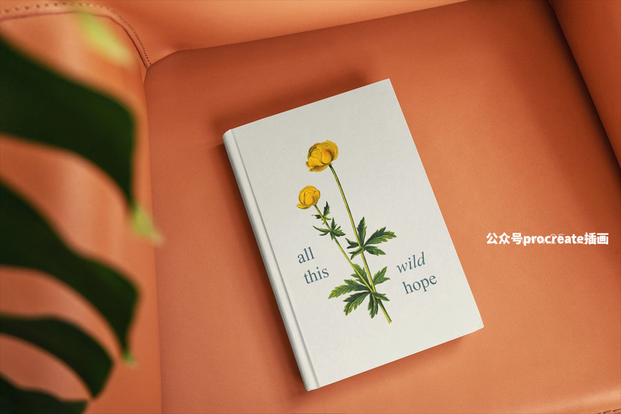 图片[4]-精装硬壳书本封面psd样机【0964】-procreatechahua