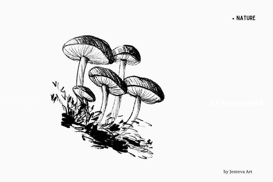 图片[11]-墨水艺术画笔效果的Procreate笔刷【0980】-procreatechahua