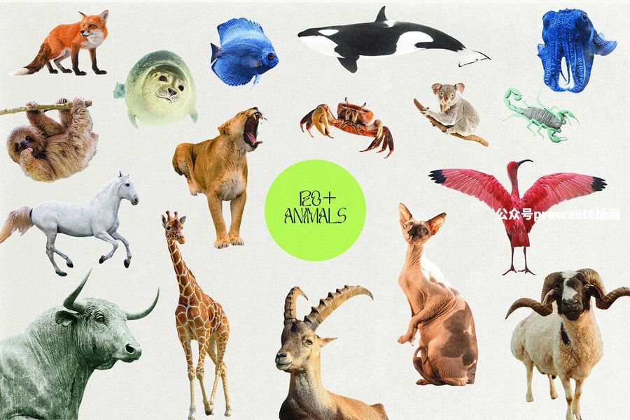 图片[3]-复古怪诞美学的自然占星元素拼贴叠加图片免抠图素材【1041】-procreatechahua