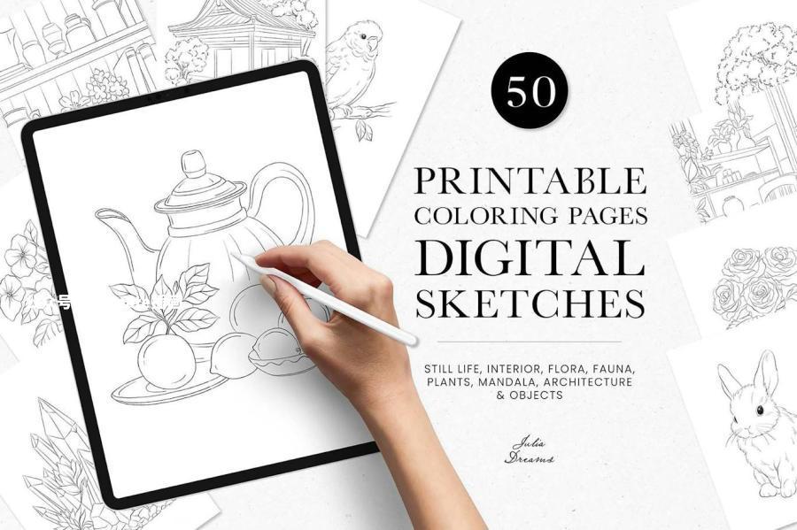 50张可用于二次创作涂色的线稿插画素材【1026】-procreatechahua