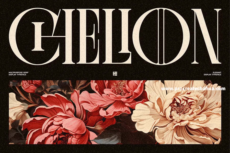 图片[1]-优雅复古十八世纪法国风格的英文衬线字体【1057】-procreatechahua