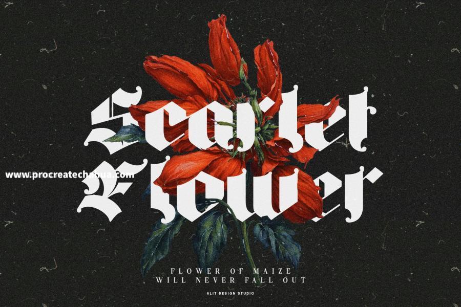 图片[13]-厚重画笔力量感的英文Blackletter哥特字体【1104】-procreatechahua