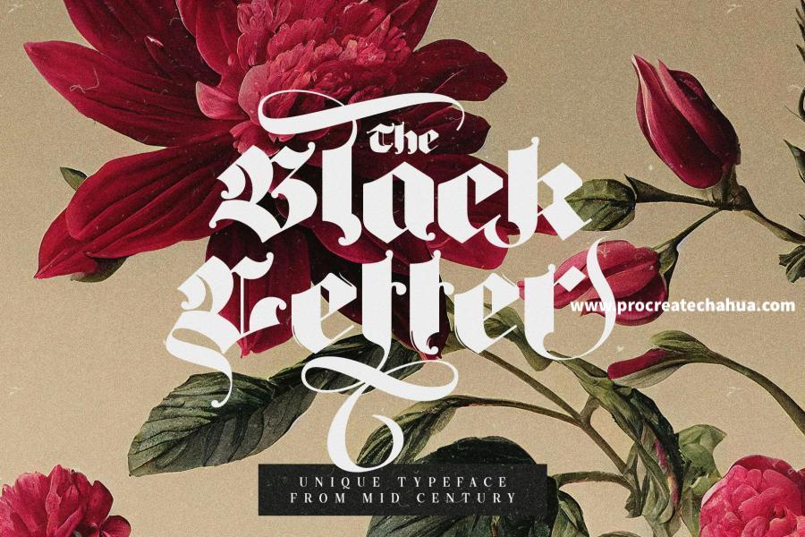 图片[1]-厚重画笔力量感的英文Blackletter哥特字体【1104】-procreatechahua