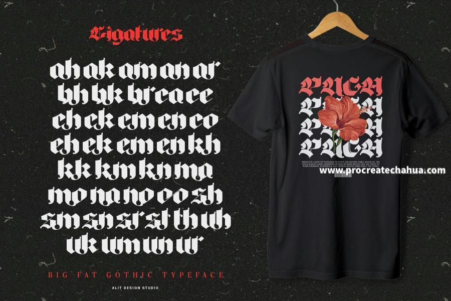 图片[2]-厚重画笔力量感的英文Blackletter哥特字体【1104】-procreatechahua