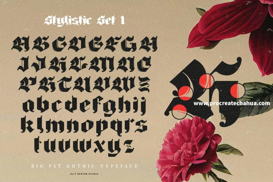 图片[9]-厚重画笔力量感的英文Blackletter哥特字体【1104】-procreatechahua