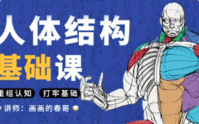 春哥人体结构基础课第13期【1093】-procreatechahua