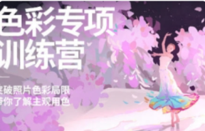 风绽色彩专项训练营 第三期 2024 【1131】-procreatechahua